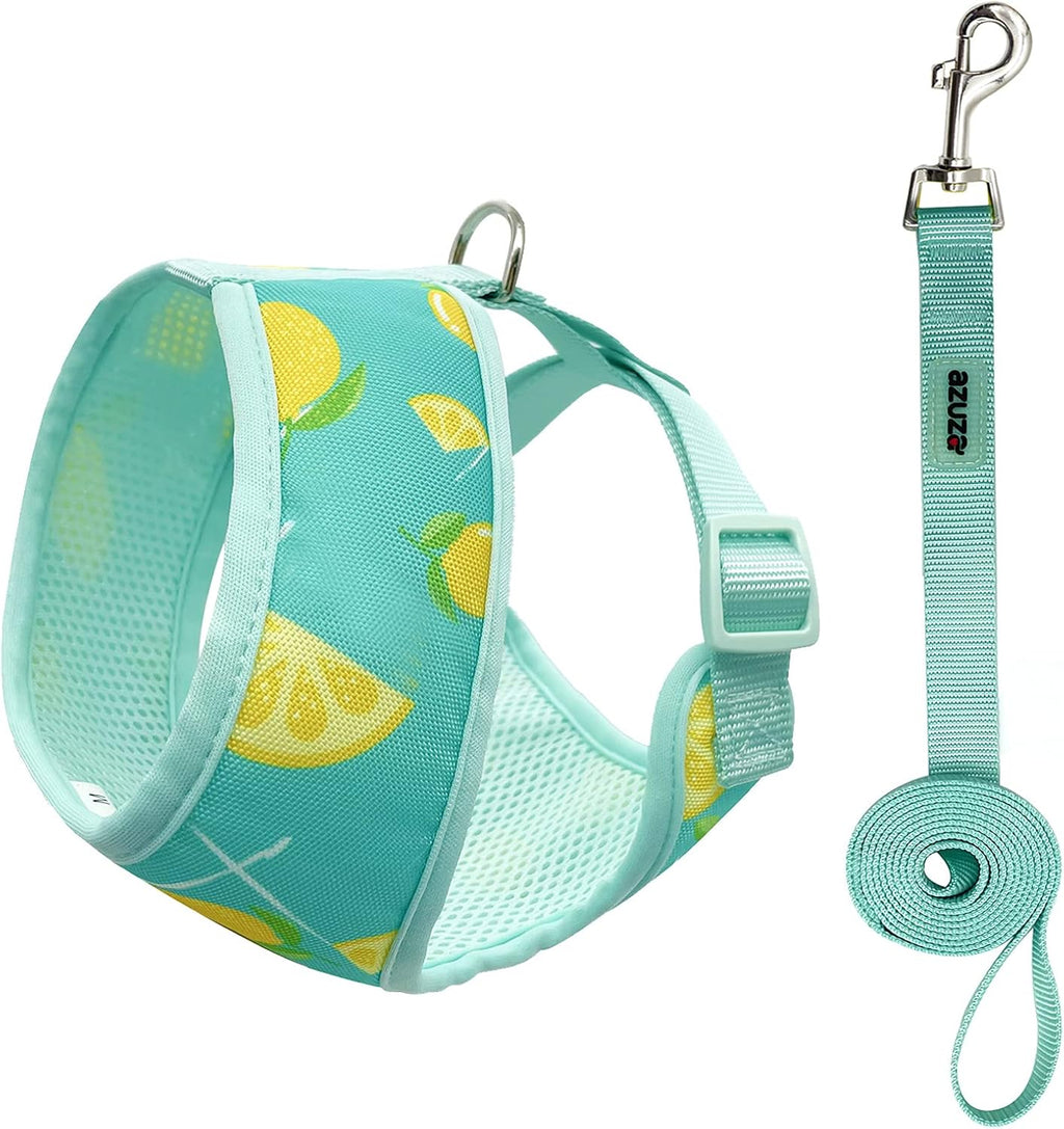 Dog Harness with Leash Set Cute Lemon Pineapple Flower Pattern Head-In Small Dog Harness Vests No Pull Comfort Padded Dog Walking Harness for Puppies Small and Medium Dogs