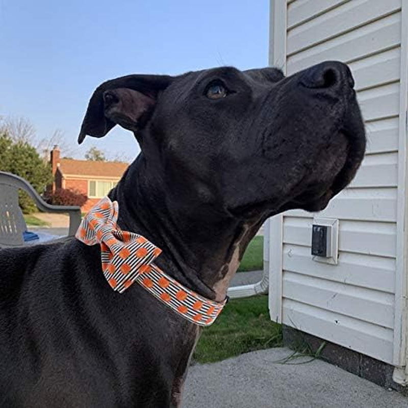 Halloween Dog Collar, Pumpkin Print Pet Collar Bowtie Dog Collar Holiday Adjustable Pet Gift Collars for Small Medium Large Dogs