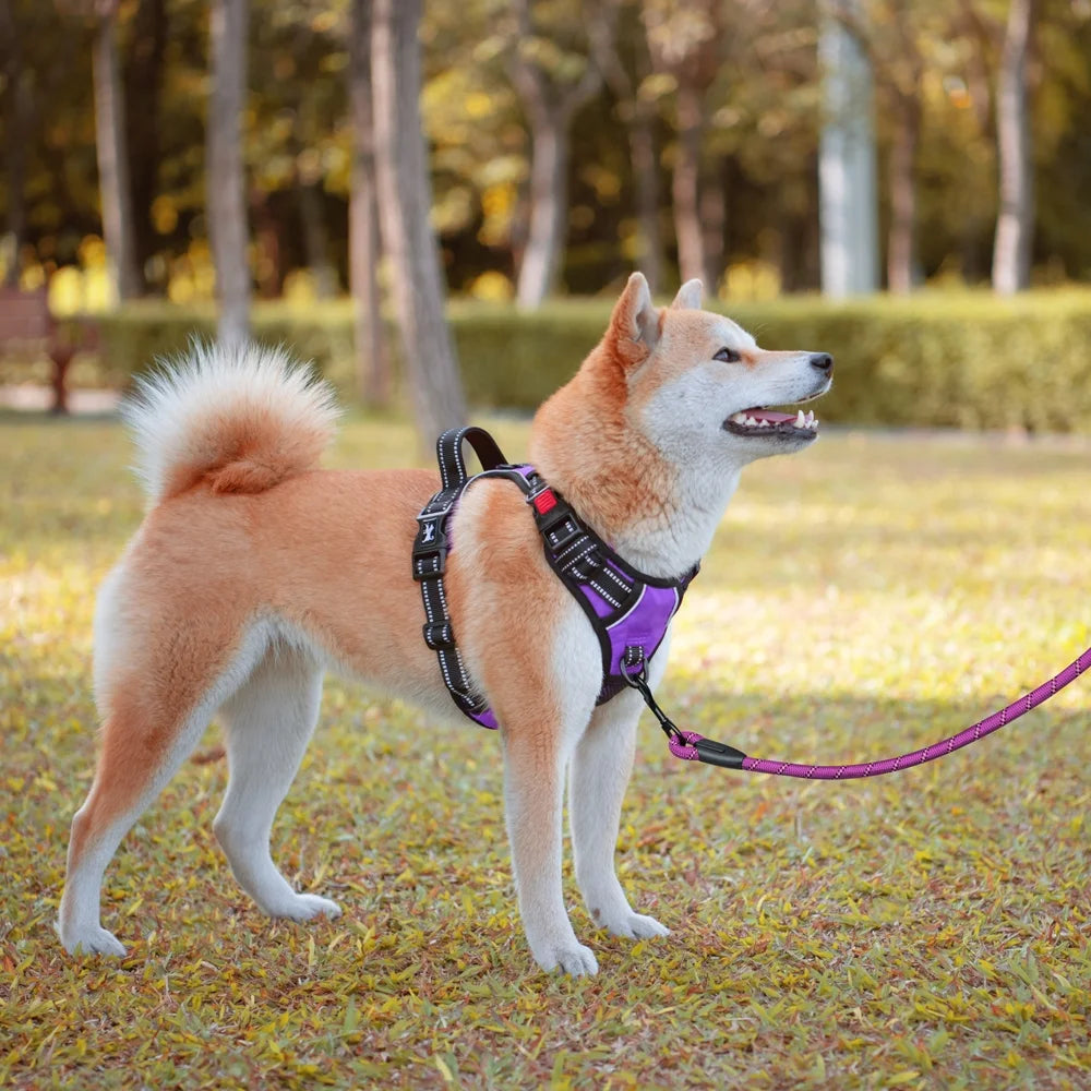 Dog Harness and Leash Combo, Escape Proof No Pull Vest Harness, Reflective Adjustable Soft Padded Pet Harness with Handle for Small to Large Dogs