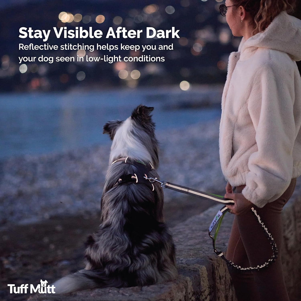 Waist Hands Free Dog Leash for Walking Running Hiking