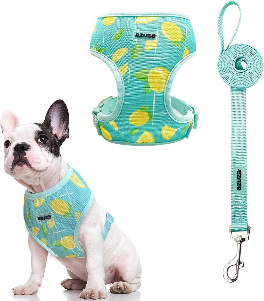 Dog Harness with Leash Set Cute Lemon Pineapple Flower Pattern Head-In Small Dog Harness Vests No Pull Comfort Padded Dog Walking Harness for Puppies Small and Medium Dogs