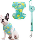 Dog Harness with Leash Set Cute Lemon Pineapple Flower Pattern Head-In Small Dog Harness Vests No Pull Comfort Padded Dog Walking Harness for Puppies Small and Medium Dogs