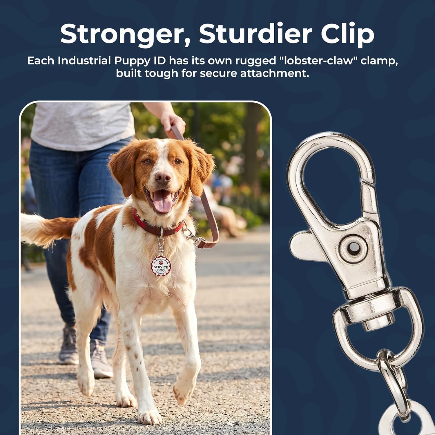 Service Dog Tag, 2 Pack: Metal Pet ID Tags for Service Animals, Emotional Support Dogs and Therapy Dogs, 1.25 Inch Diameter, Double Sided, Navy Lettering and Red Enamel Trim