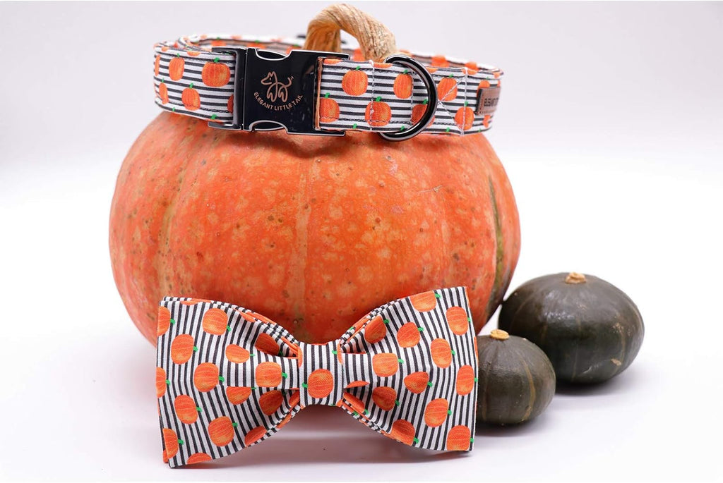 Halloween Dog Collar, Pumpkin Print Pet Collar Bowtie Dog Collar Holiday Adjustable Pet Gift Collars for Small Medium Large Dogs