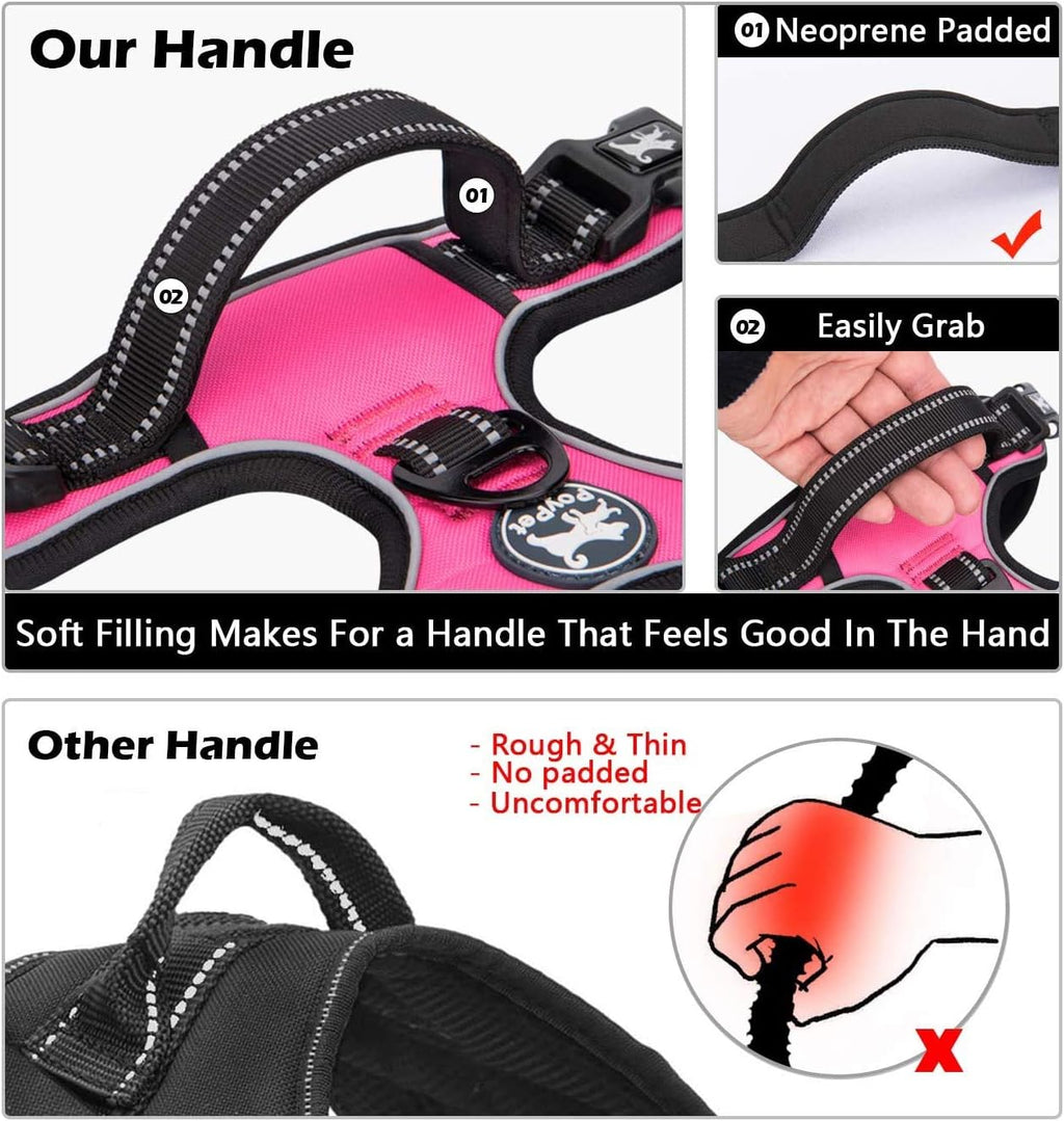 Dog Harness and Leash Set, No Pull Vest with Front Clip and Handle