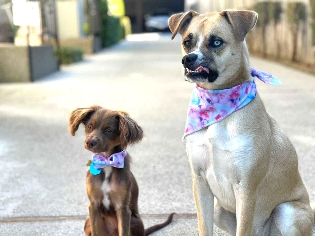 Bandana for Boy Girl Small Medium Large Dogs, Comfortable Bibs Scarf, Adjustable Square Kerchief