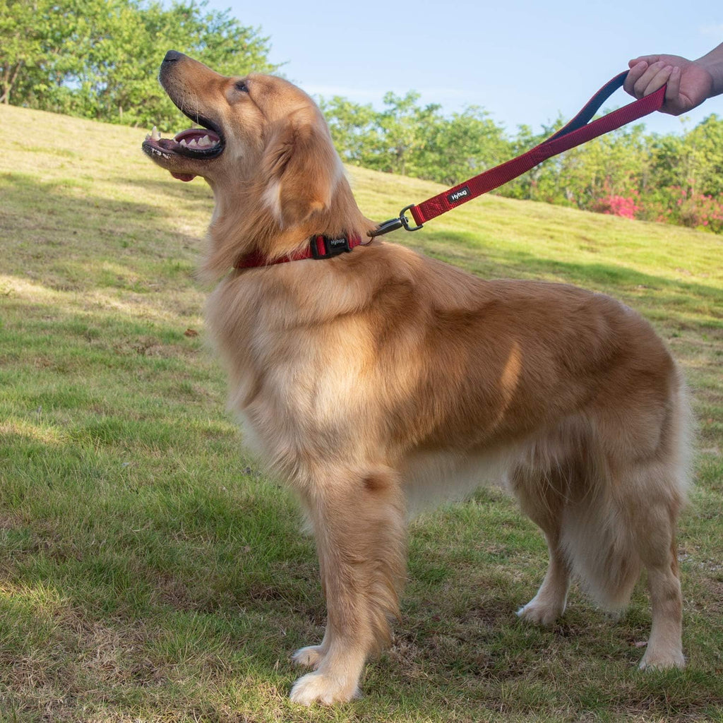 Short Dog Leash 18", Heavy Duty Nylon with Padded Handle