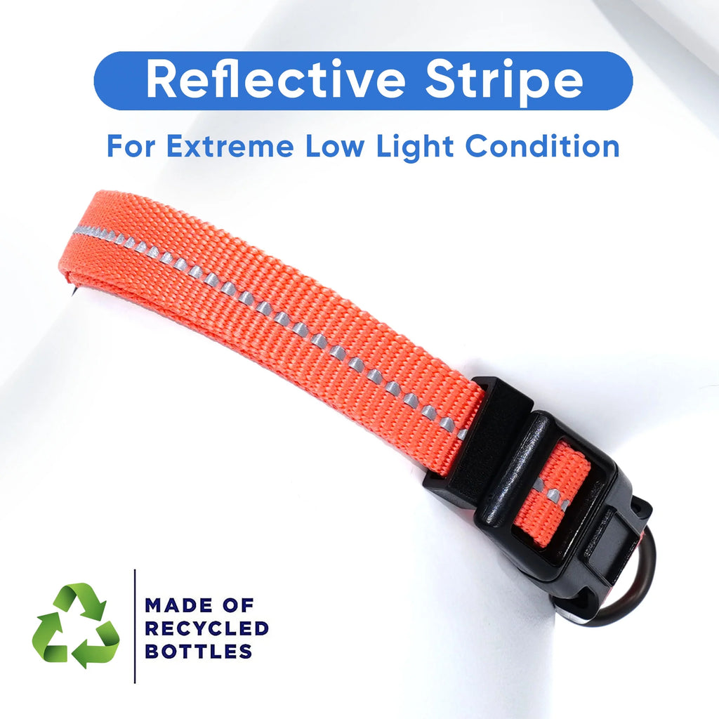 Recycled Dog Collar with Reflective Puppy Collar Small Coral