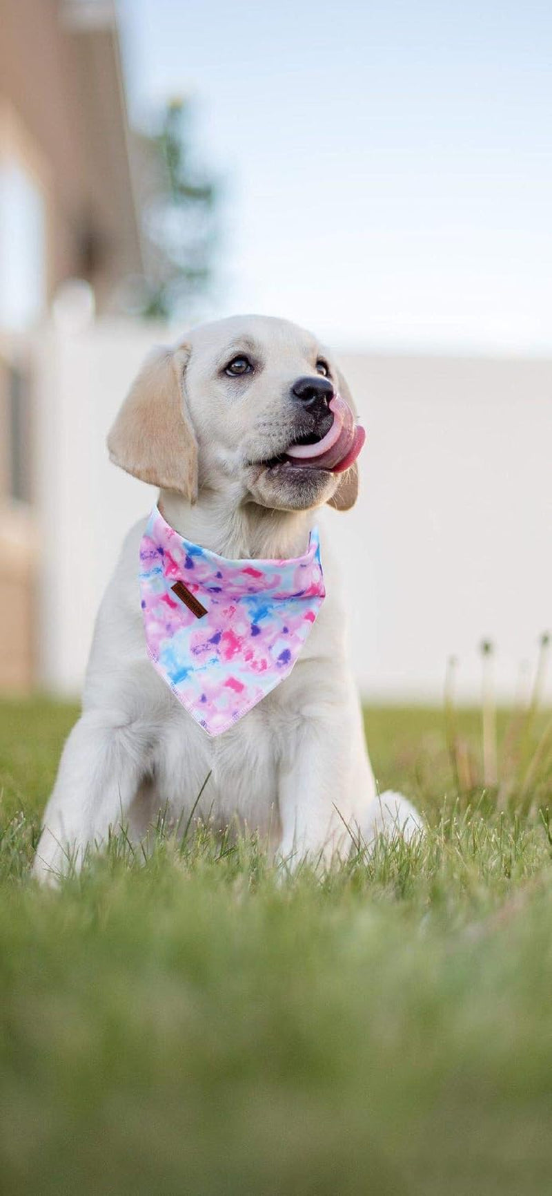 Bandana for Boy Girl Small Medium Large Dogs, Comfortable Bibs Scarf, Adjustable Square Kerchief