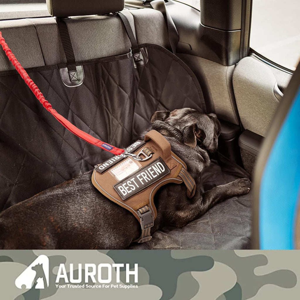 Bungee Dog Leash for Large Dogs, No Pull for Shock Absorption