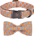 Halloween Dog Collar, Pumpkin Print Pet Collar Bowtie Dog Collar Holiday Adjustable Pet Gift Collars for Small Medium Large Dogs