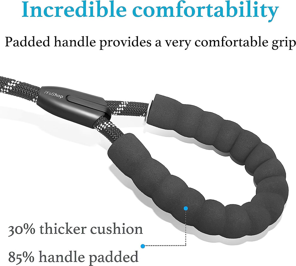 Durable Slip Lead Dog Leash, 1/2" X 4 FT, Black