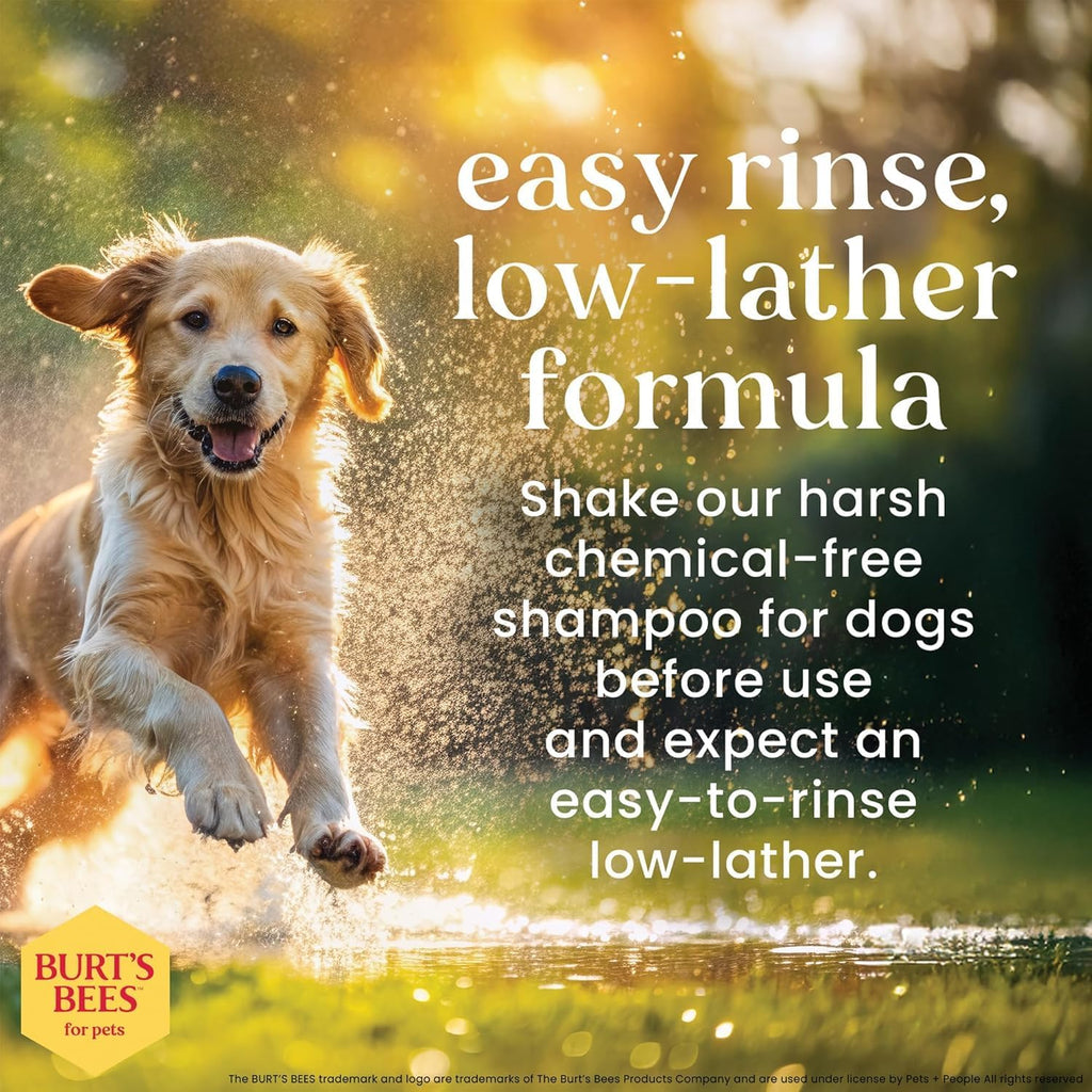 Deodorizing Dog Shampoo, Apple & Rosemary, 16 Oz, 2-Pk