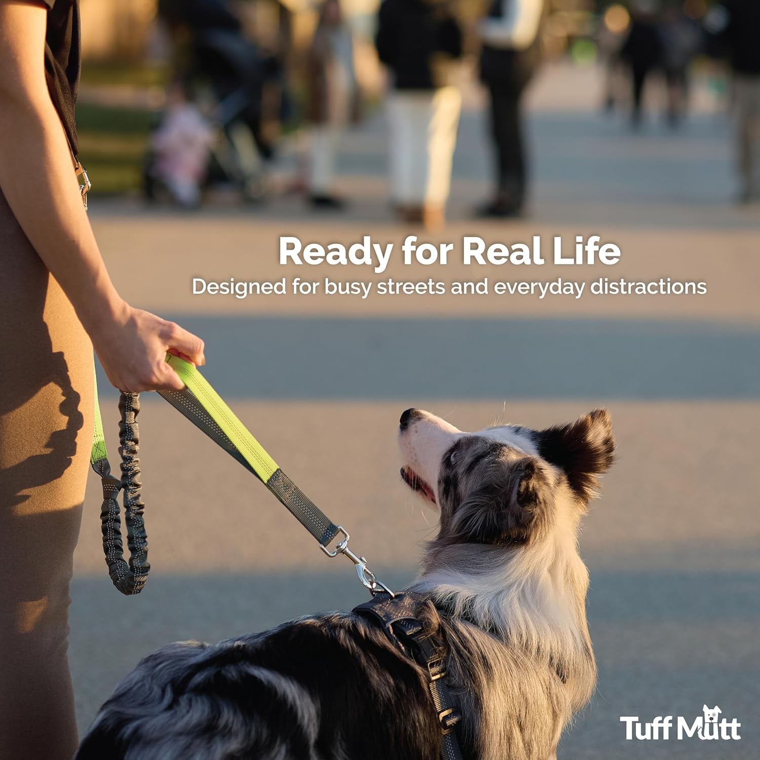 Waist Hands Free Dog Leash for Walking Running Hiking