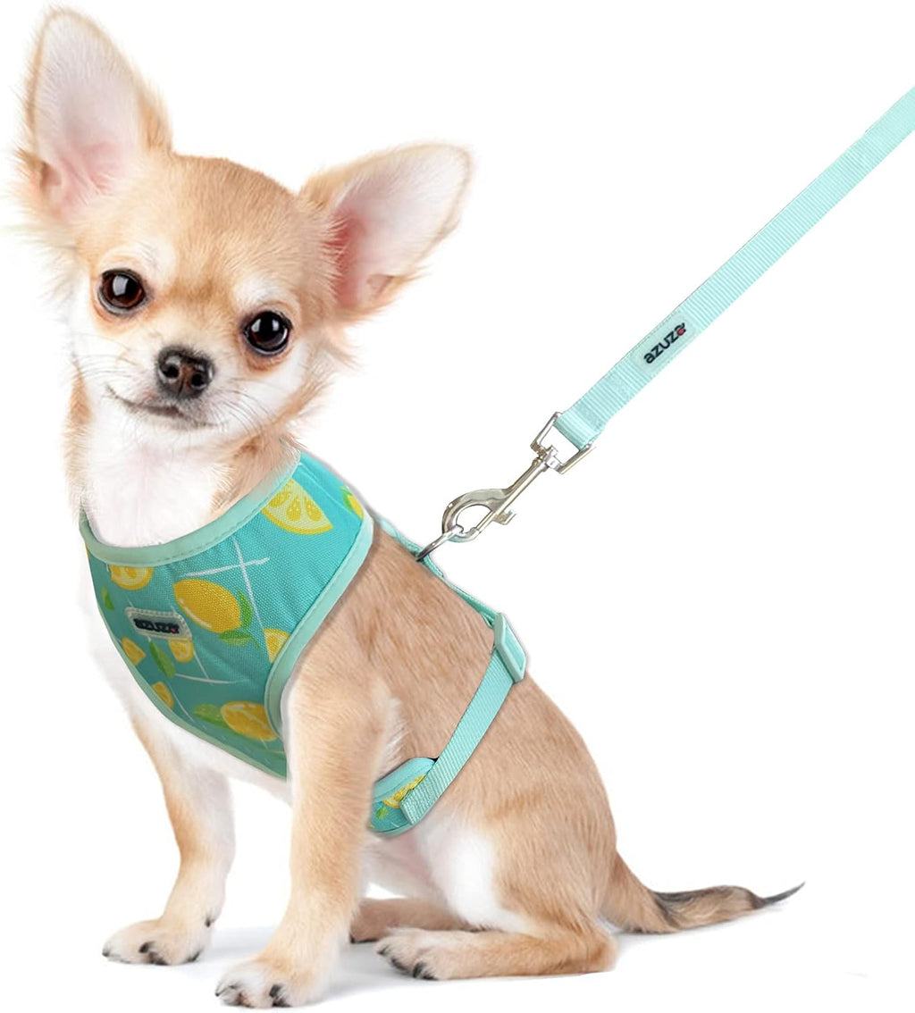Dog Harness with Leash Set Cute Lemon Pineapple Flower Pattern Head-In Small Dog Harness Vests No Pull Comfort Padded Dog Walking Harness for Puppies Small and Medium Dogs