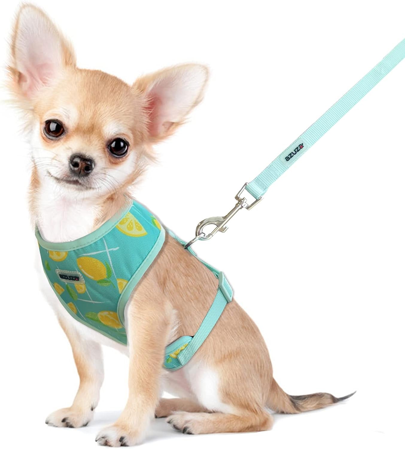 Dog Harness with Leash Set Cute Lemon Pineapple Flower Pattern Head-In Small Dog Harness Vests No Pull Comfort Padded Dog Walking Harness for Puppies Small and Medium Dogs