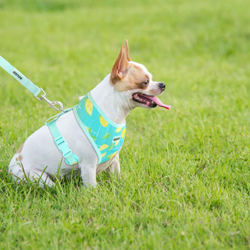Dog Harness with Leash Set Cute Lemon Pineapple Flower Pattern Head-In Small Dog Harness Vests No Pull Comfort Padded Dog Walking Harness for Puppies Small and Medium Dogs